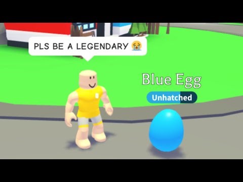 5 Things YOU are doing WRONG in Adopt Me…