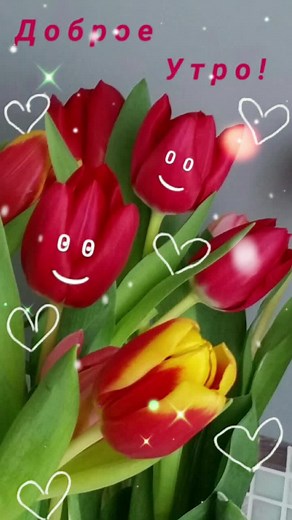 Animated Floral Art: Tulips and Roses with Cartoon Faces