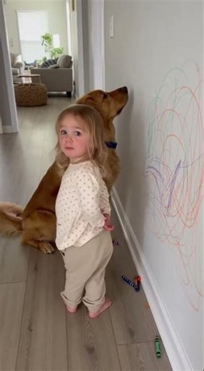 Dog Gets Time-Out Too… And Her Reason Is Hilarious 😂🐶🖍️