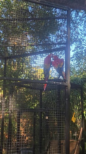 Amy Crawford Clark on Reels