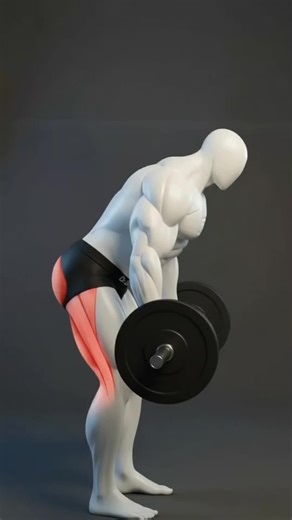 Build Strong Glutes Fast | 3 Best Barbell Exercises for Glutes Build stronger glutes with these powerful barbell exercises. Try hip thrust, Romanian deadlift, and squat to grow your glutes and improve lower body strength. #glutesworkout #barbellworkout #glutegrowth #legday #fitnessmotivation #gymtips