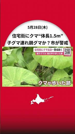 [Brown Bear Alert] Man walking home in residential area spots "bear-like animal"... 1.5-meter-lon...