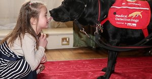 Family says diabetic alert dogs save sons' lives