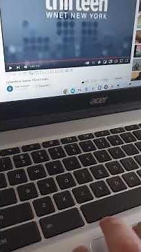 Nelvana Thirteen Wnet New York Flying Minds 1999 2004 2023