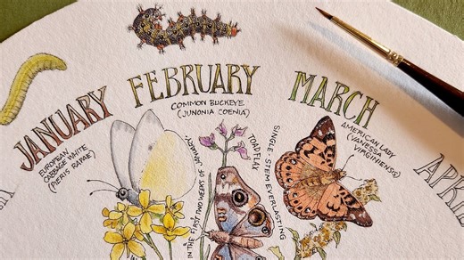 Phenology wheel: March