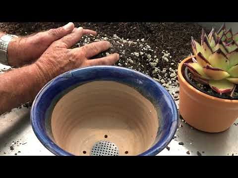 How to Make Succulent Potting Soil - Demonstration and Recipes for Different Succulents
