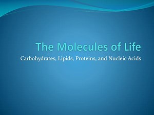 The Molecules of Life - SlideServe