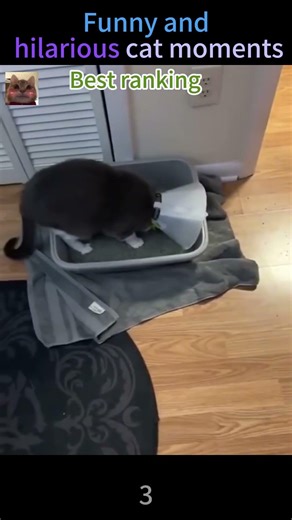 #fyp #viral #best #video #top5 #cringe #like