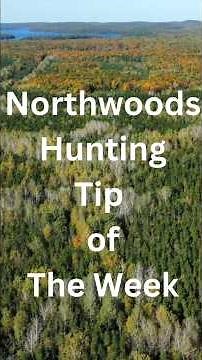 break up your outline in the tree stand with this tip #short #184 #huntingtips