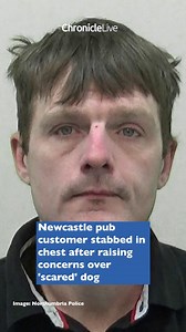 49K views · 183 reactions | Newcastle pub customer stabbed in chest after raising concerns over 'scared' dog | Newcastle Chronicle | Facebook
