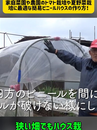 家庭菜園や農園のトマト栽培や夏野菜栽培に最適な簡易ビニールハウスの作り方！狭い畑でもハウス栽培と雨除け効果！【農家直伝】#家庭菜園 #畑 #ビニールハウス #種まき #農業 #ガーデニング #野菜作り #メロン栽培 #葉物野菜 #fyp #diy