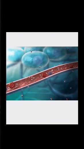 Master Fluid Balance Physiology | Simple, Clinical & Exam-Oriented #FluidBalance #Physiology #MedEd