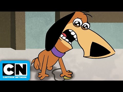 Augie-Mented Reality 🐶 | Jellystone | Cartoon Network