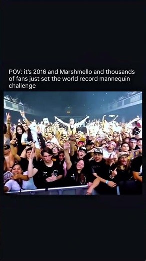 Marshmello Pulled Off the Biggest Mannequin Challenge Ever
