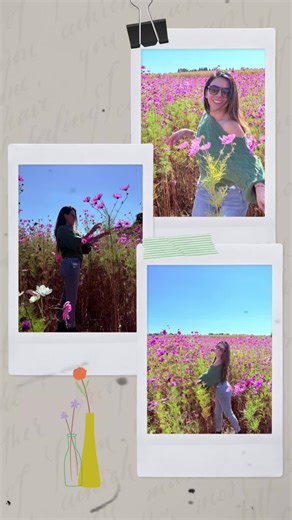 Vdmt on TikTok