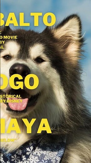 Top 10 Famous Husky Names from Movies #naming #petnames #cutedog #dognames #husky #huskylovers