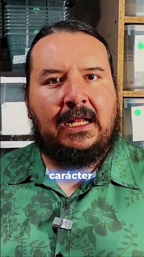 El secreto para que tu serpiente sea más tranquila