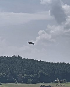 P-51D Mustang highspeed lowpass and half loop | Warbirds