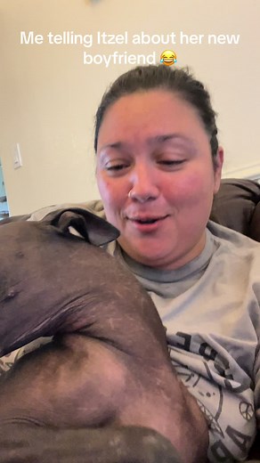 Meet Cholo, the Spanish-speaking Xoloitzcuintle from Michoacan, Mexico