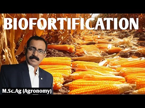 BIOFORTIFICATION