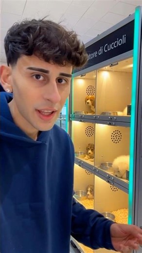 🐕 Puppy Distributor 🐶 #shorts