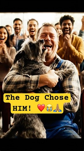 They came looking for a dog.The dog came looking for them 🐾❤️ #shelterdog #rescuedogs #caninerescue