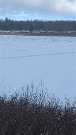 Royal Dutchman Resort on Reels