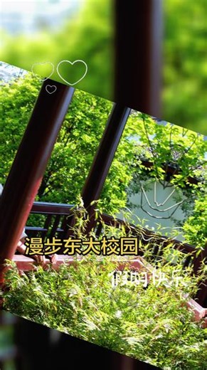 打卡东南大学，满眼都是欣慰与骄傲 #真实生活分享计划 #校园建筑之美