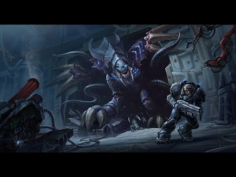 Starcraft II [Fourth Race] Hybrid Network