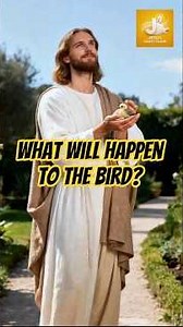 Jesus Saves Baby Bird: A Miracle #Jesus #Pets #Miracle #AnimalRescue #Faith