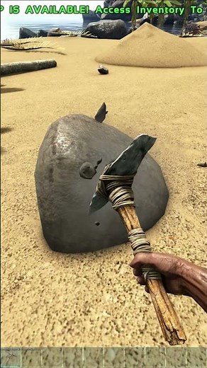 First Day of DOX ARK!