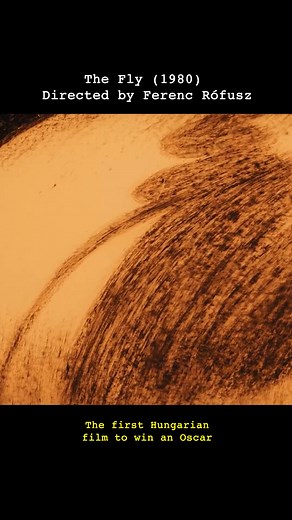 The Fly (1980, 3min) Streaming for Family Members on Eternal.tv & Apps in North America. https://eternal.tv/programs/the-fly Directed by Ferenc Rófusz. A fine day in the life of a fly presented completely from the fly’s point of view. A fine day until something dreary happens, that is. | Eternal Family