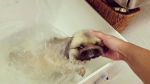 #Spa treatments | Konabear