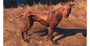 Schon gewusst? In Fallout 4 kann ein weiterer Hund neben Dogmeat für euch kämpfen - so einfach bekommt ihr den mutierten Vierbeiner