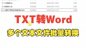 TXT文本文件批量转Word，高效方法分享！这款格式转换工具真顶！