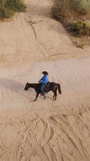 You must let your horse commit to the mistake. #ApplyTheMethod | Downunder Horsemanship