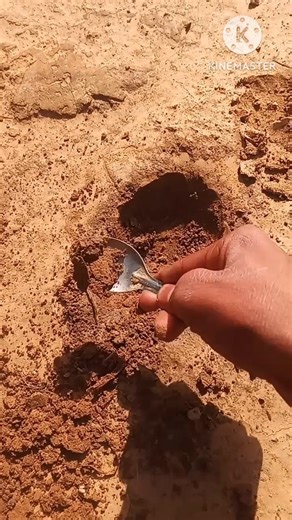 Spoon Digging Challenge Day 44 😱 | Hole Getting Deeper Every Day! #shorts #mrbhanshuff....