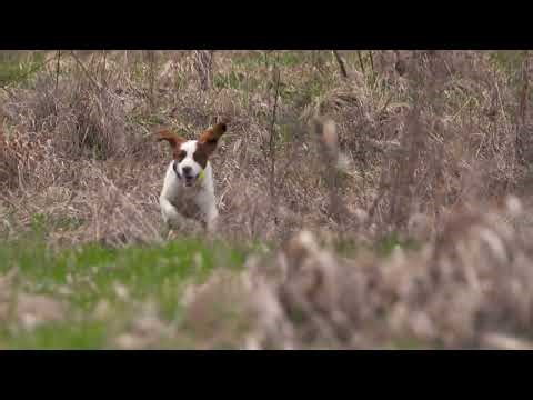 2022 Field Trial Winners