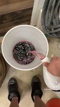 How to make brandy with the wine base from North Georgia Still Company