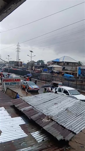 Alpha Bongo on TikTok