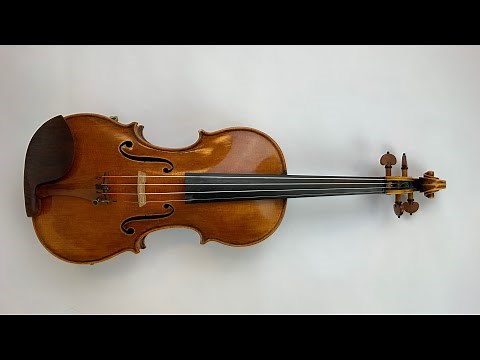 Violin, viola, cello and double bass - take a look!