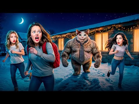 NEVER LOOK AT BOO CAT AND GET SCARED. DON'T BE AFRAID IN REAL LIFE.