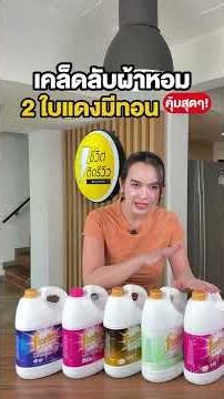น้ำยาซักผ้า Fineline สูตรเข้มข้น