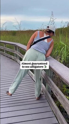 The only trail you need to do in Everglades National Park 👀🐊