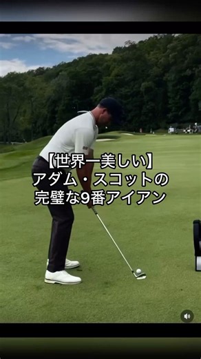 【世界一美しいスイング】アダム・スコットの完璧な9番アイアン！一生見ていられるお手本軌道 #shorts #ゴルフ #golf #ゴルフスイング #golfswing #ゴルフ動画