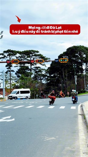 Mọi người Đi Đà Lạt nhớ lưu ý điều này để tránh phạt tiền nhé#changdimotminh #reviewdalat