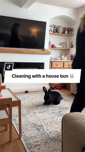 Cleaning Challenges with a House Rabbit