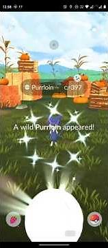 ✨ Shiny Purrloin Caught! | Pinap Berry Challenge in Pokémon GO 🇮🇳 #ShinyPurrloin #ShinyPokemon