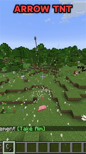 NEW ARROW TNT | Minecraft TNT Experiment 1.21(mod) #shorts