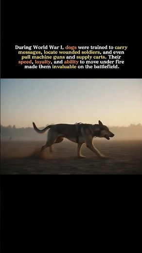 How Dogs Became Silent Heroes of World War I